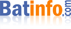 Logo Batinfo